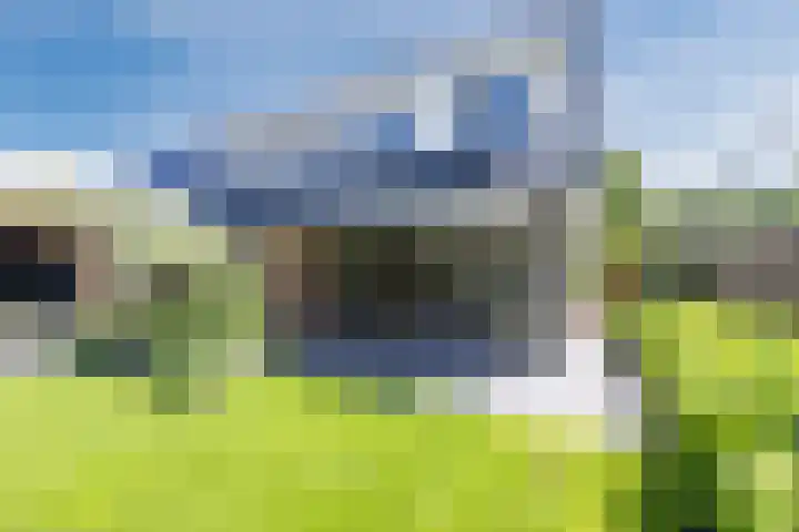 Eekhoorn 14 Hoogeveen thumbnail 85