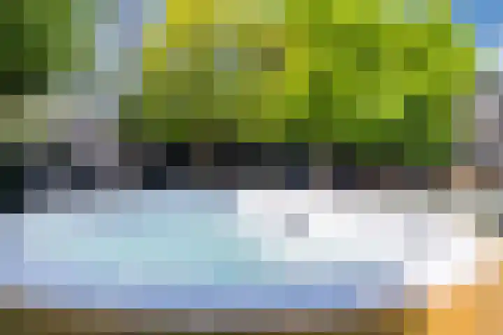Eekhoorn 14 Hoogeveen thumbnail 86