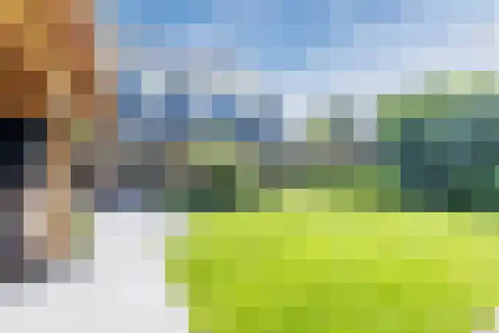 Eekhoorn 14 Hoogeveen thumbnail 88