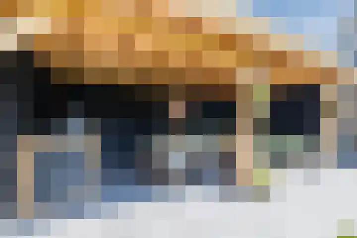 Eekhoorn 14 Hoogeveen thumbnail 89