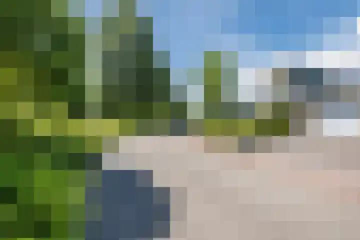Eekhoorn 14 Hoogeveen thumbnail 9