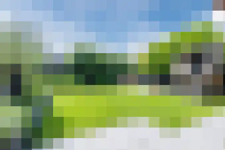 Eekhoorn 14 Hoogeveen thumbnail 93