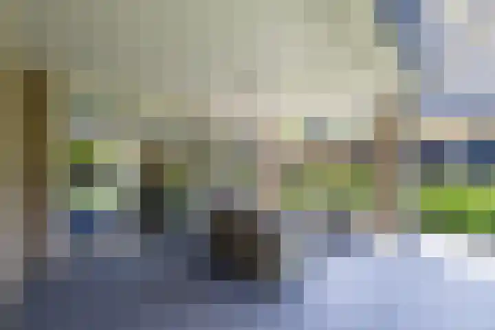 Eekhoorn 14 Hoogeveen thumbnail 94