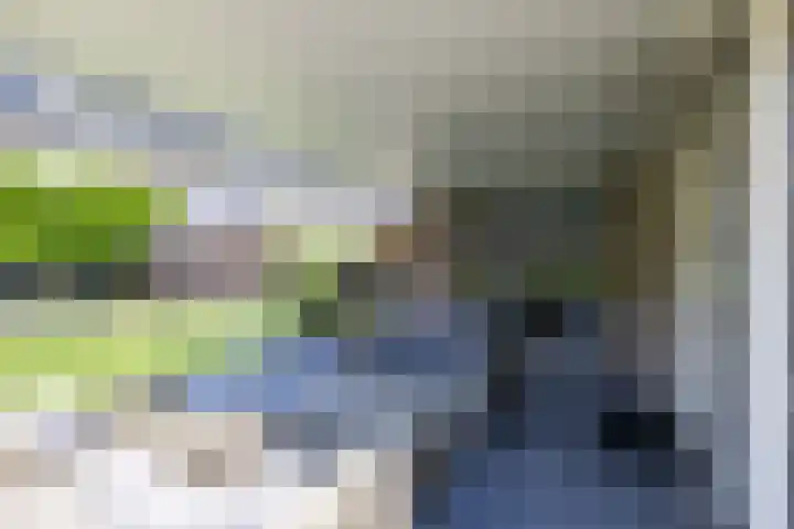 Eekhoorn 14 Hoogeveen thumbnail 97