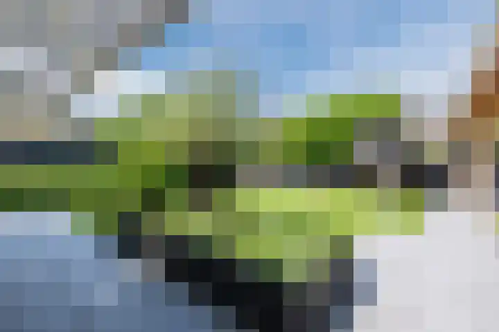 Eekhoorn 14 Hoogeveen thumbnail 99
