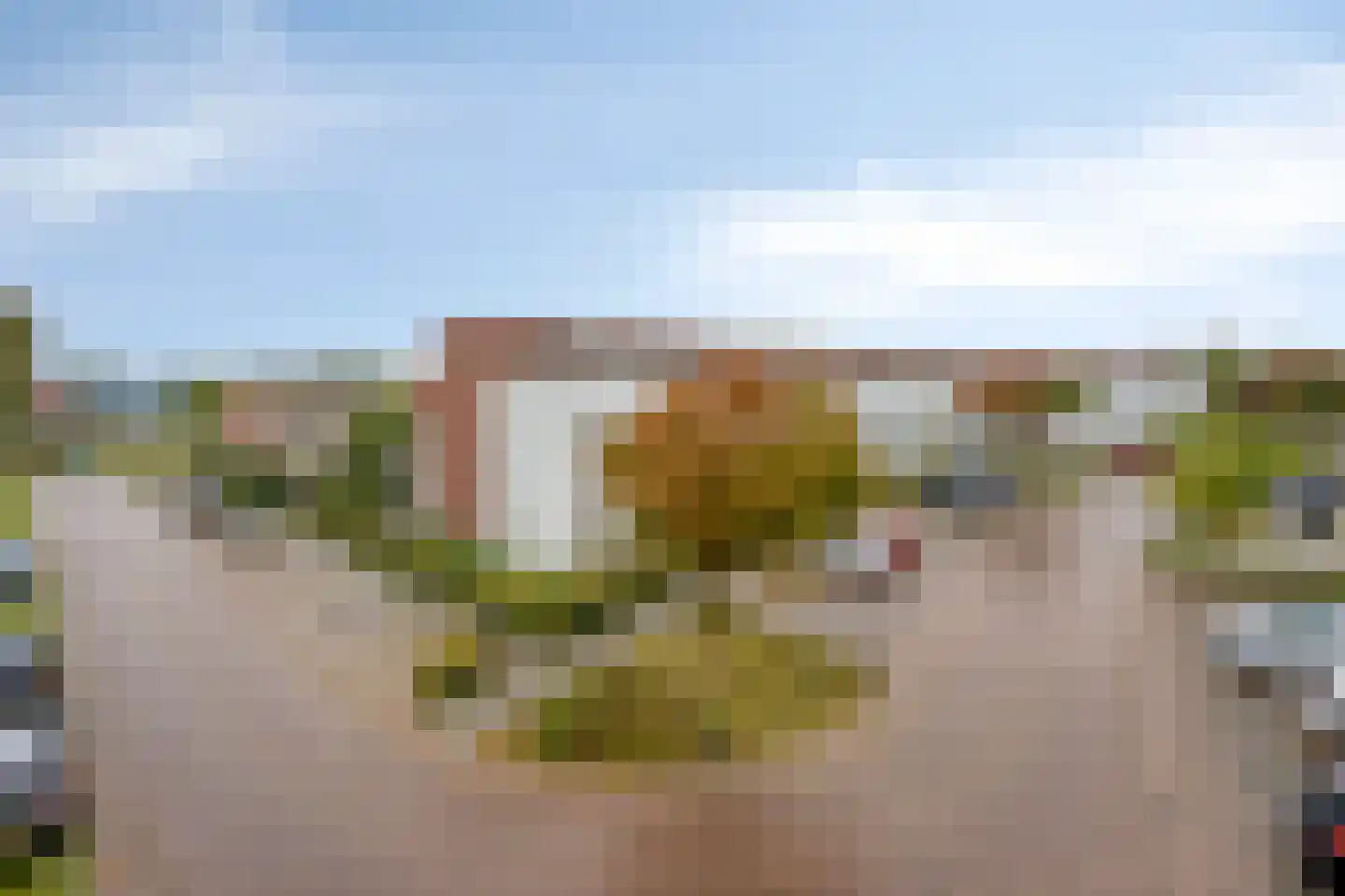 Eekhoorn 19 Veldhoven thumbnail 17