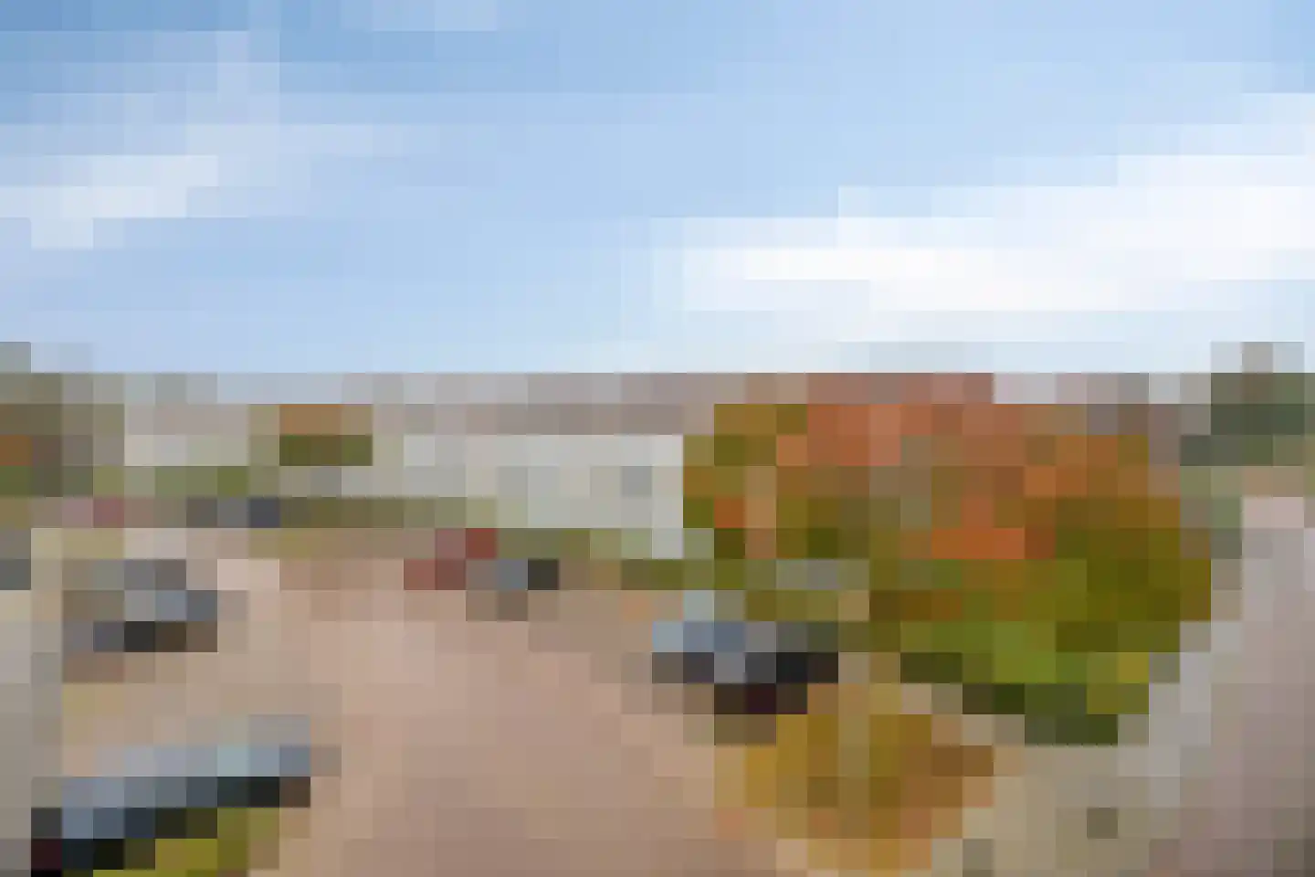 Eekhoorn 19 Veldhoven thumbnail 18