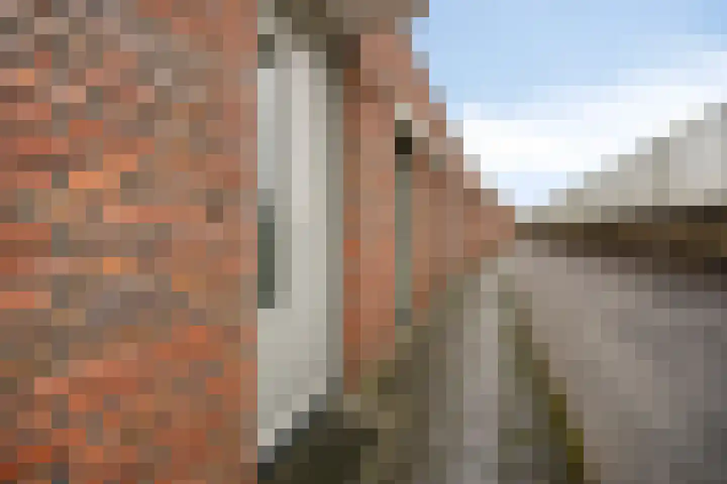 Eekhoorn 19 Veldhoven thumbnail 21