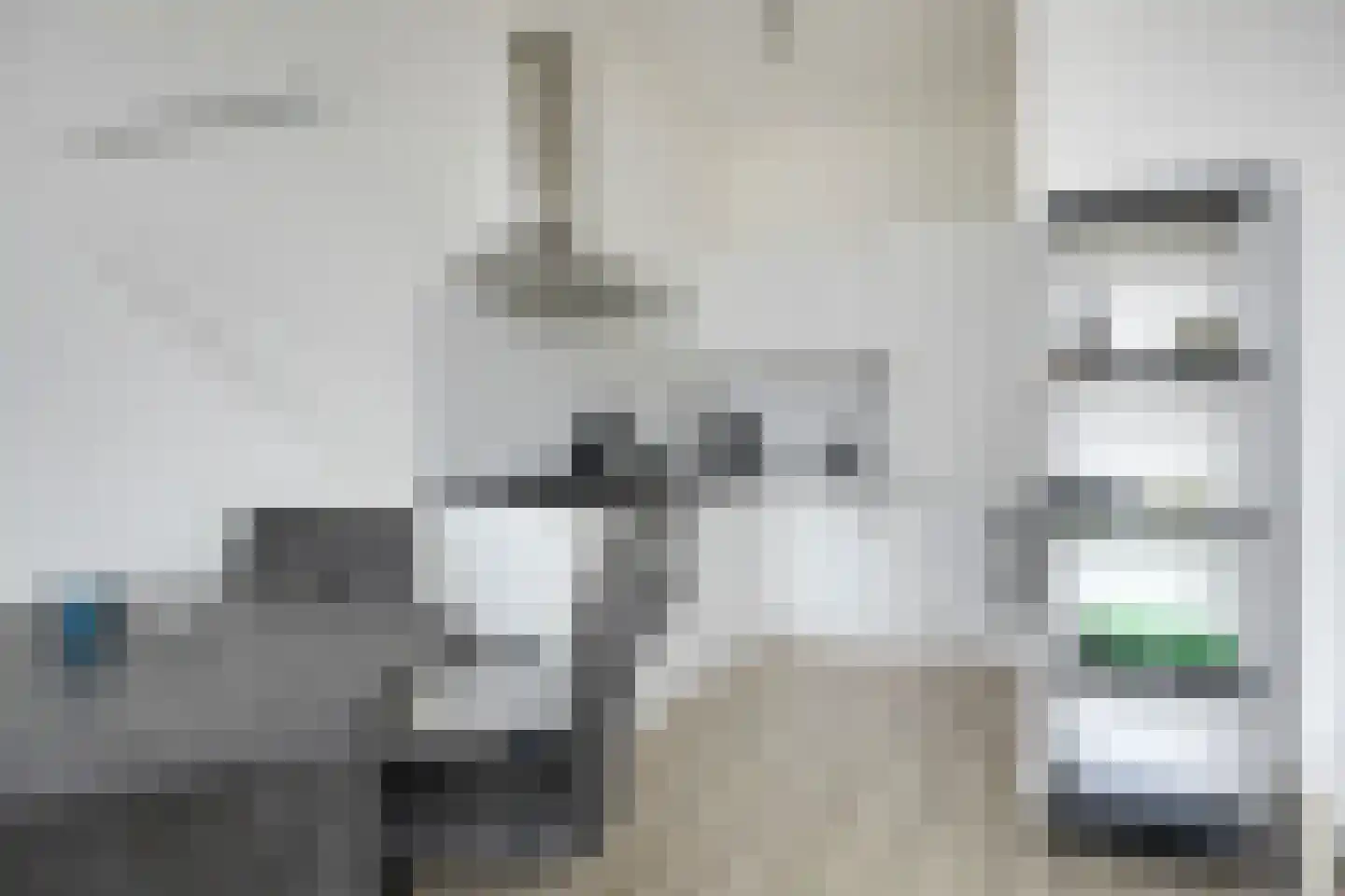 Eekhoorn 19 Veldhoven thumbnail 8