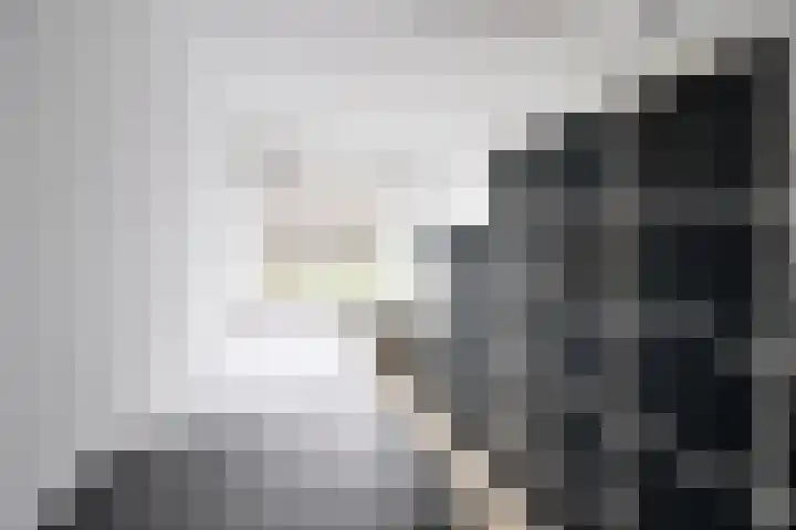 Eekhoorn 2 Huizen thumbnail 10
