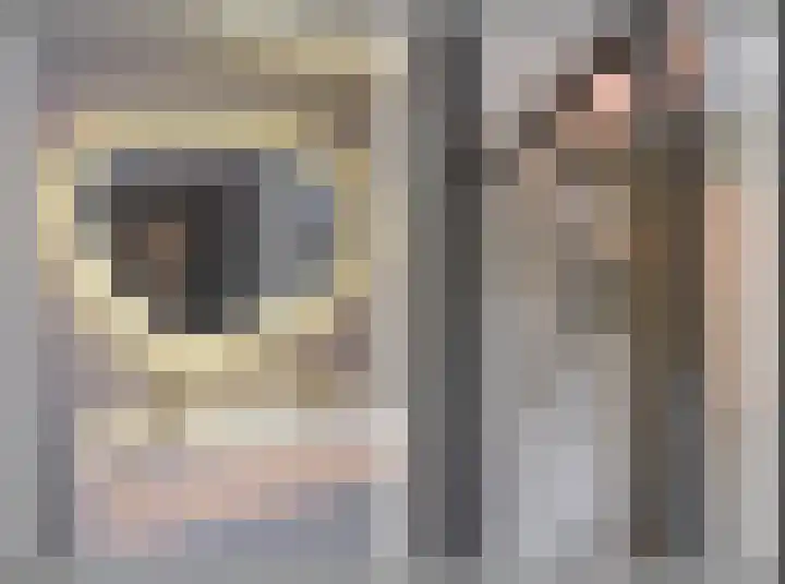 Eekhoorn 2 Huizen thumbnail 12