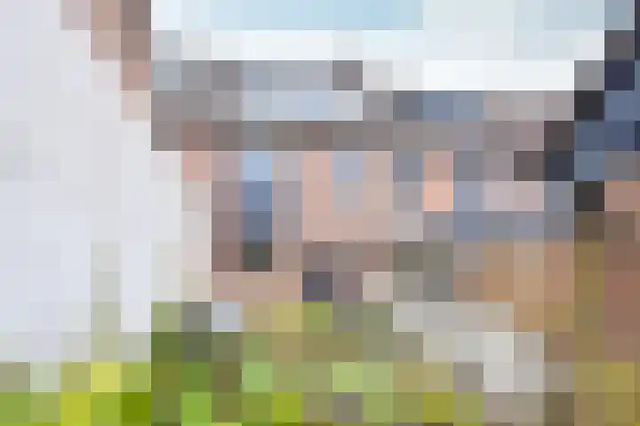 Eekhoorn 2 Huizen thumbnail 15