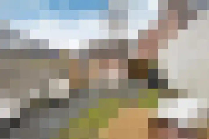Eekhoorn 2 Huizen thumbnail 17