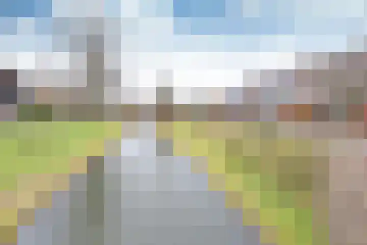 Eekhoorn 2 Huizen thumbnail 18