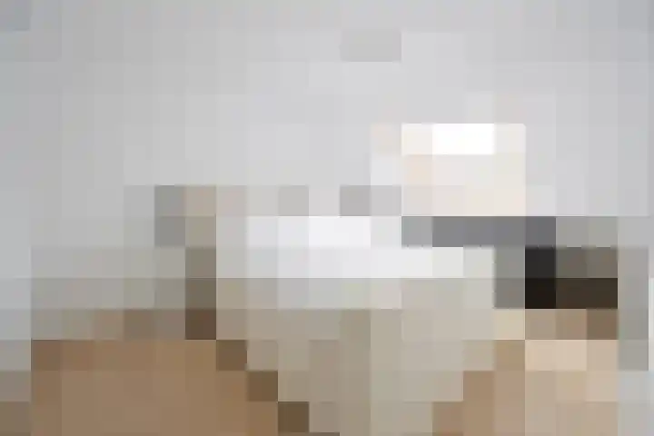 Eekhoorn 2 Huizen thumbnail 8