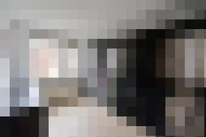 Eekhoorn 2 Huizen thumbnail 9