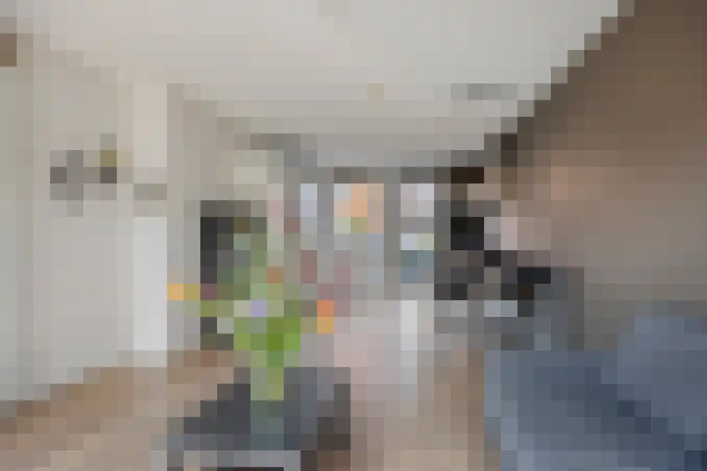 Eekhoorn 21 Veldhoven thumbnail 13