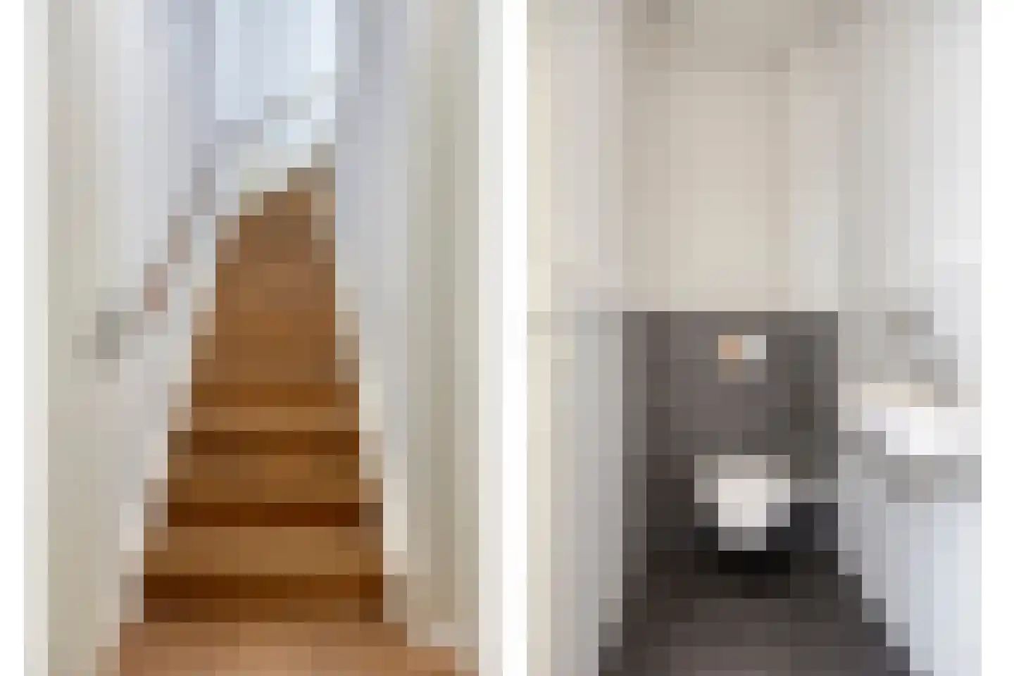 Eekhoorn 21 Veldhoven thumbnail 14