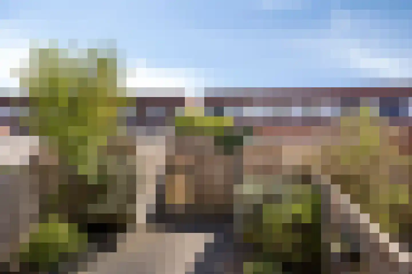 Eekhoorn 21 Veldhoven thumbnail 25