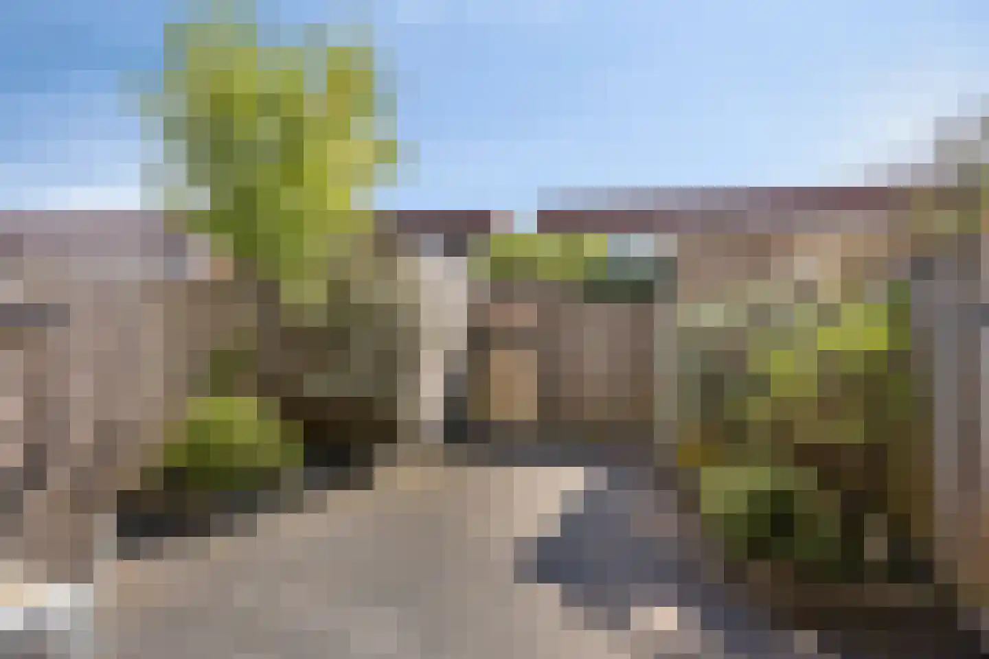 Eekhoorn 21 Veldhoven thumbnail 26