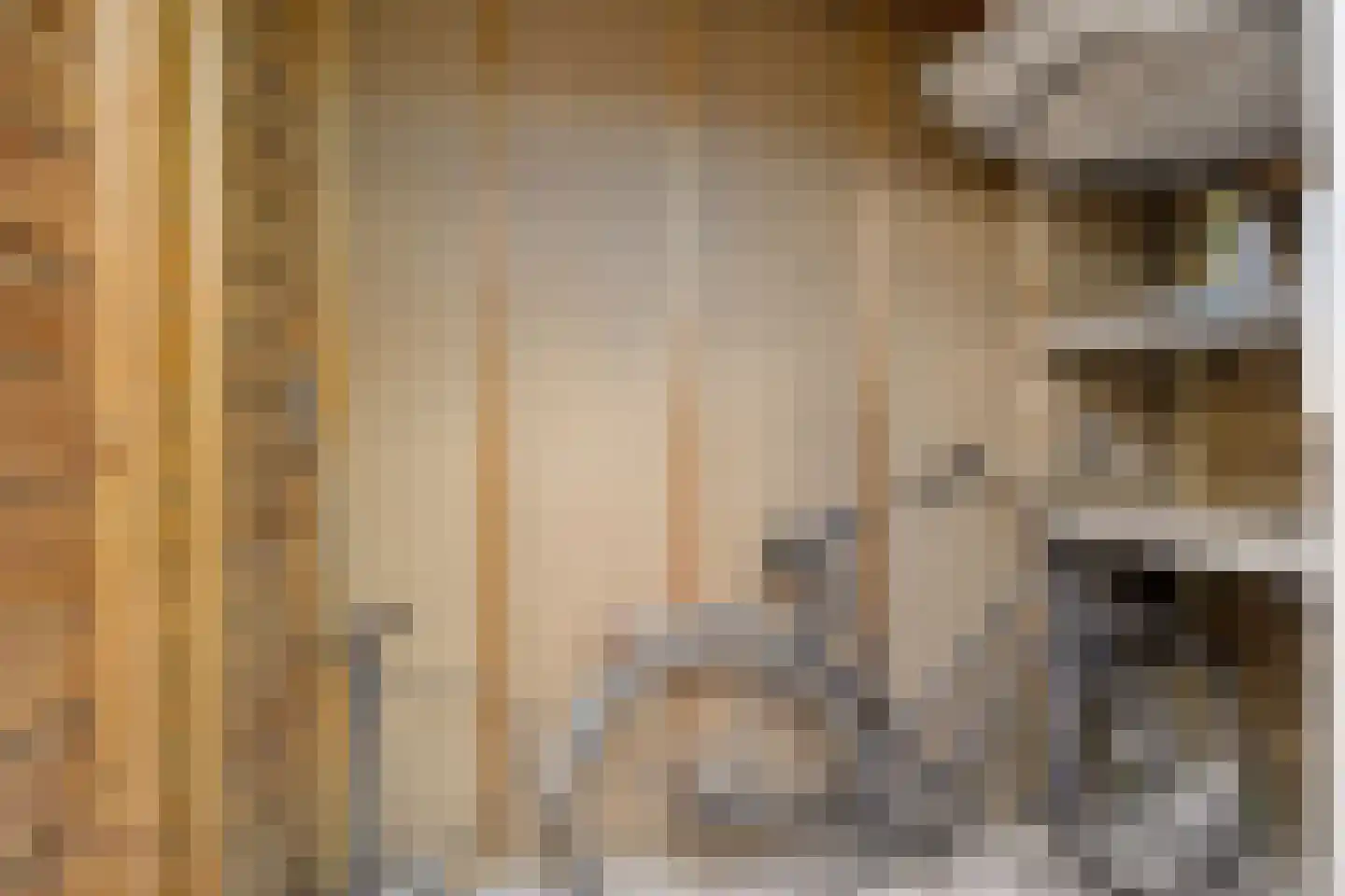 Eekhoorn 21 Veldhoven thumbnail 27