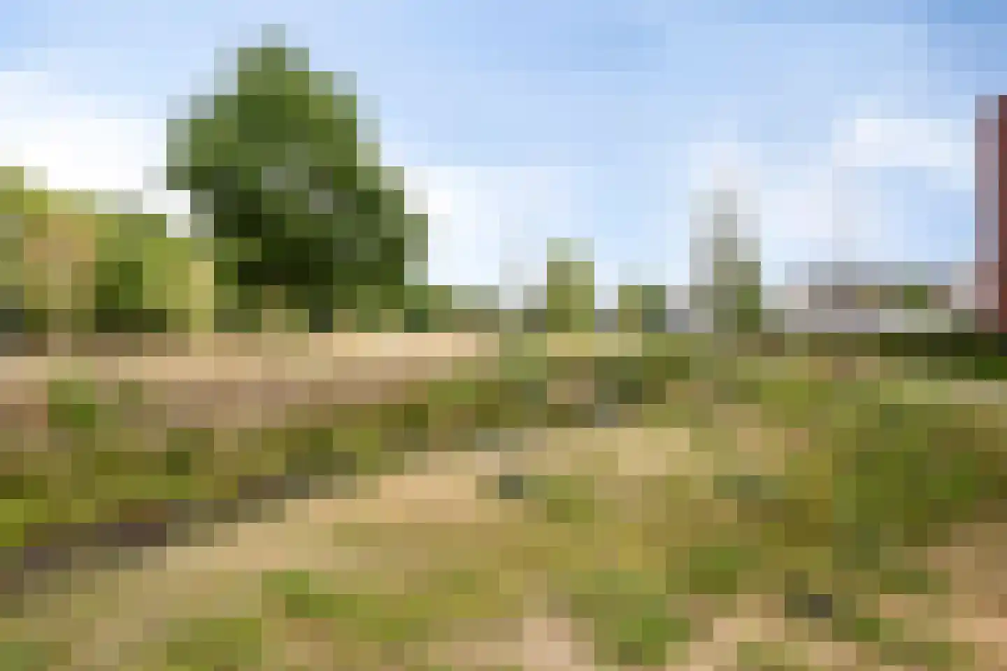 Eekhoorn 21 Veldhoven thumbnail 36