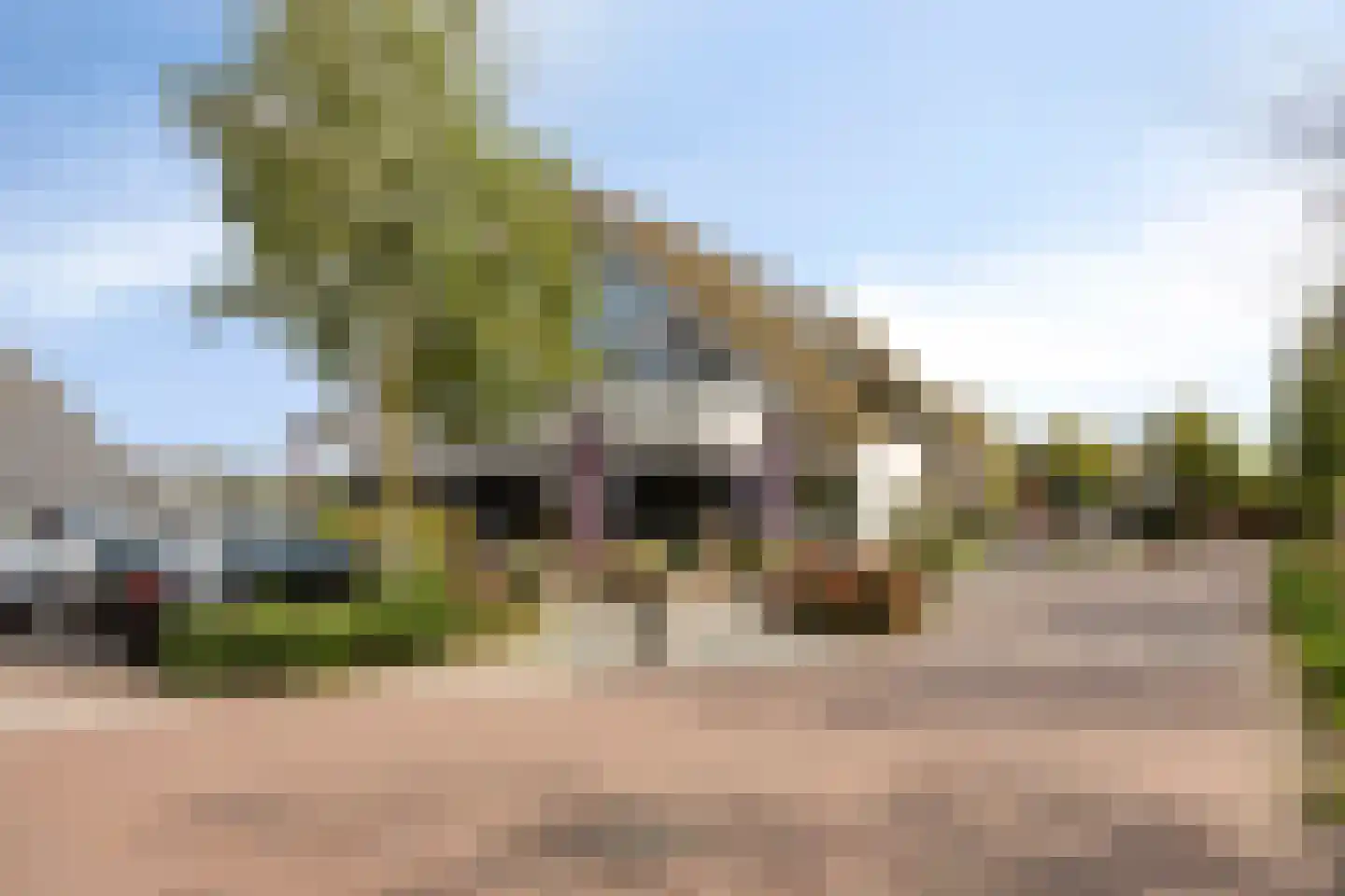 Eekhoorn 21 Veldhoven thumbnail 37