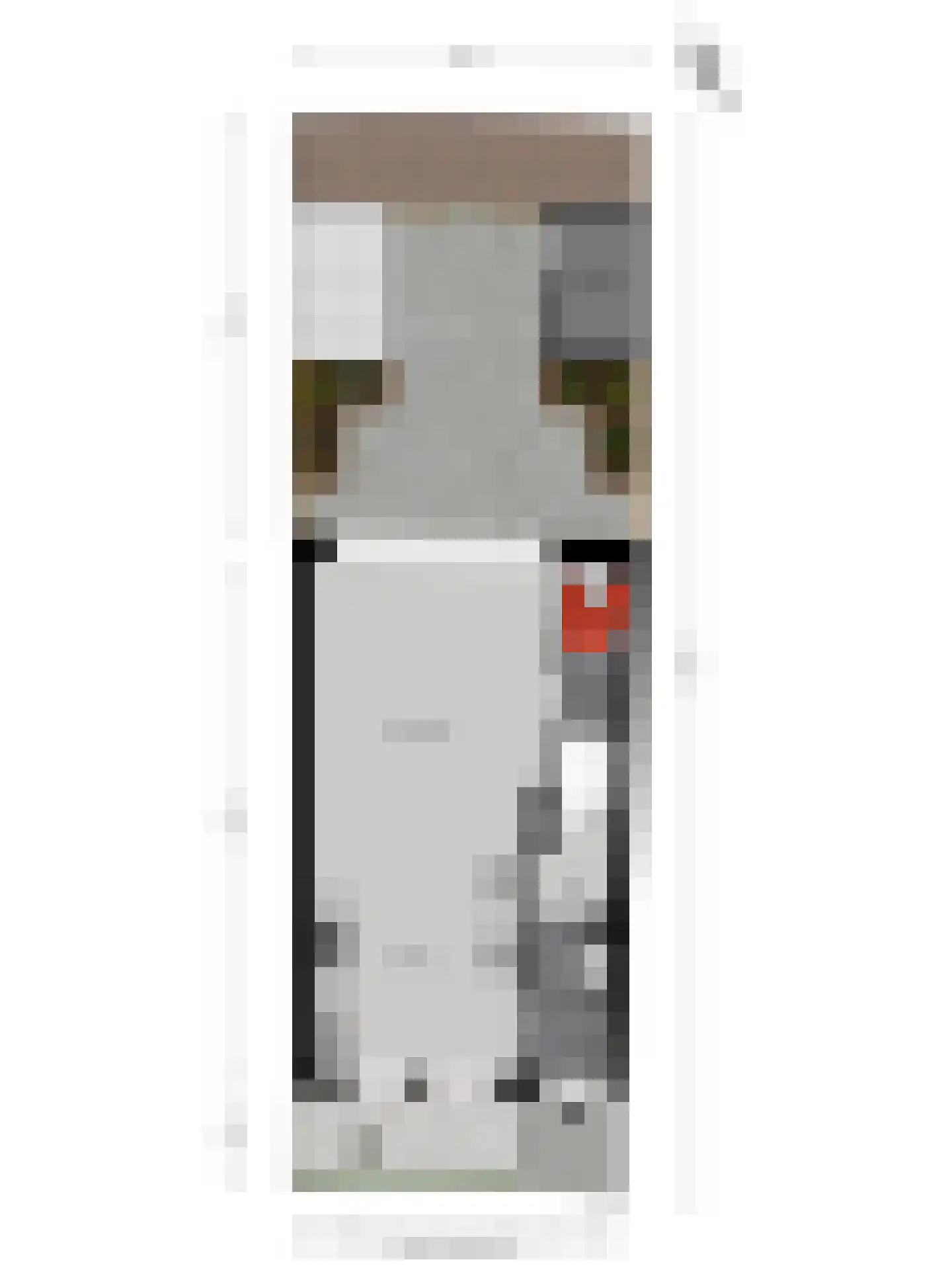 Eekhoorn 21 Veldhoven thumbnail 38