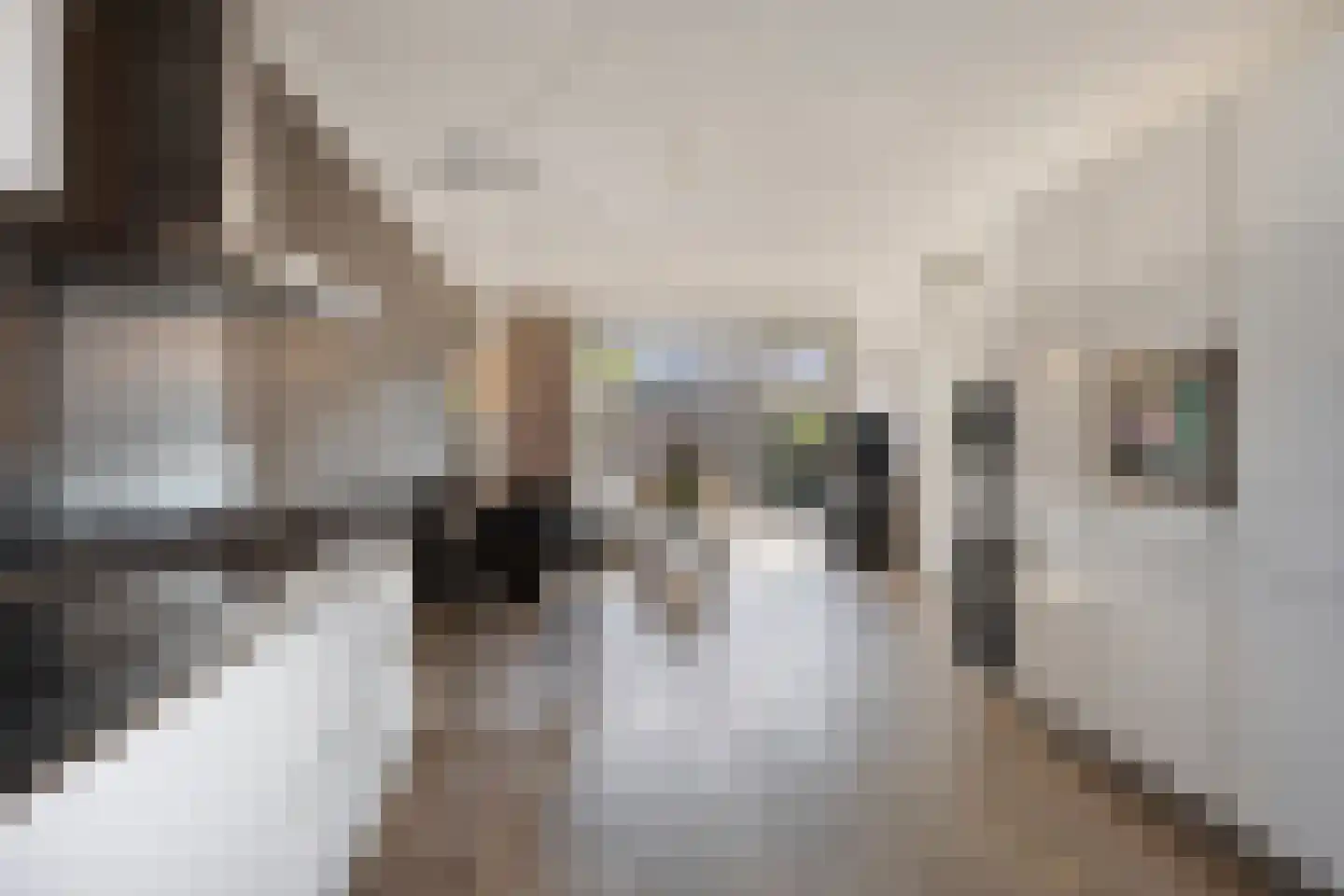Eekhoorn 21 Veldhoven thumbnail 7