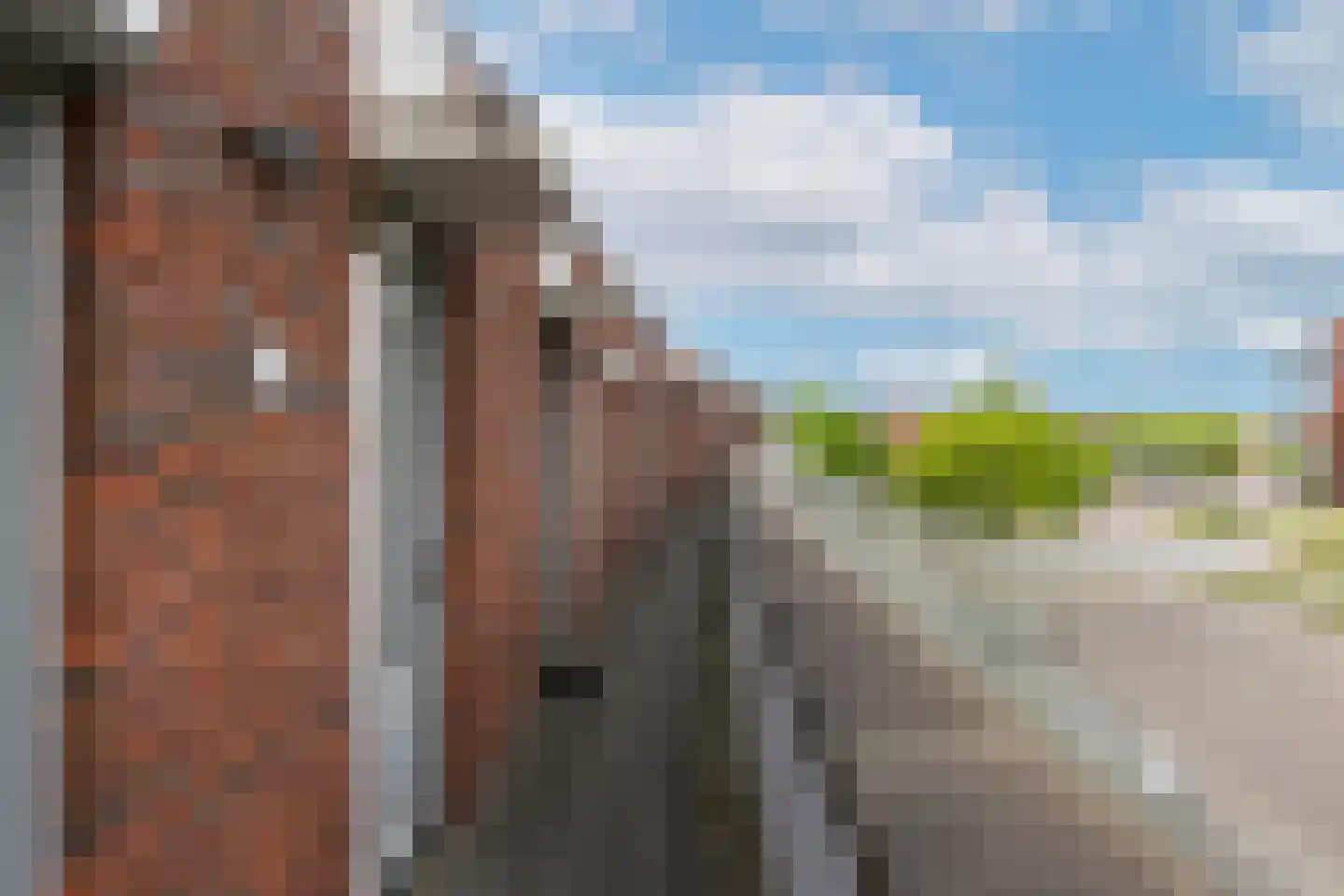 Eekhoorn 23 Veldhoven thumbnail 4