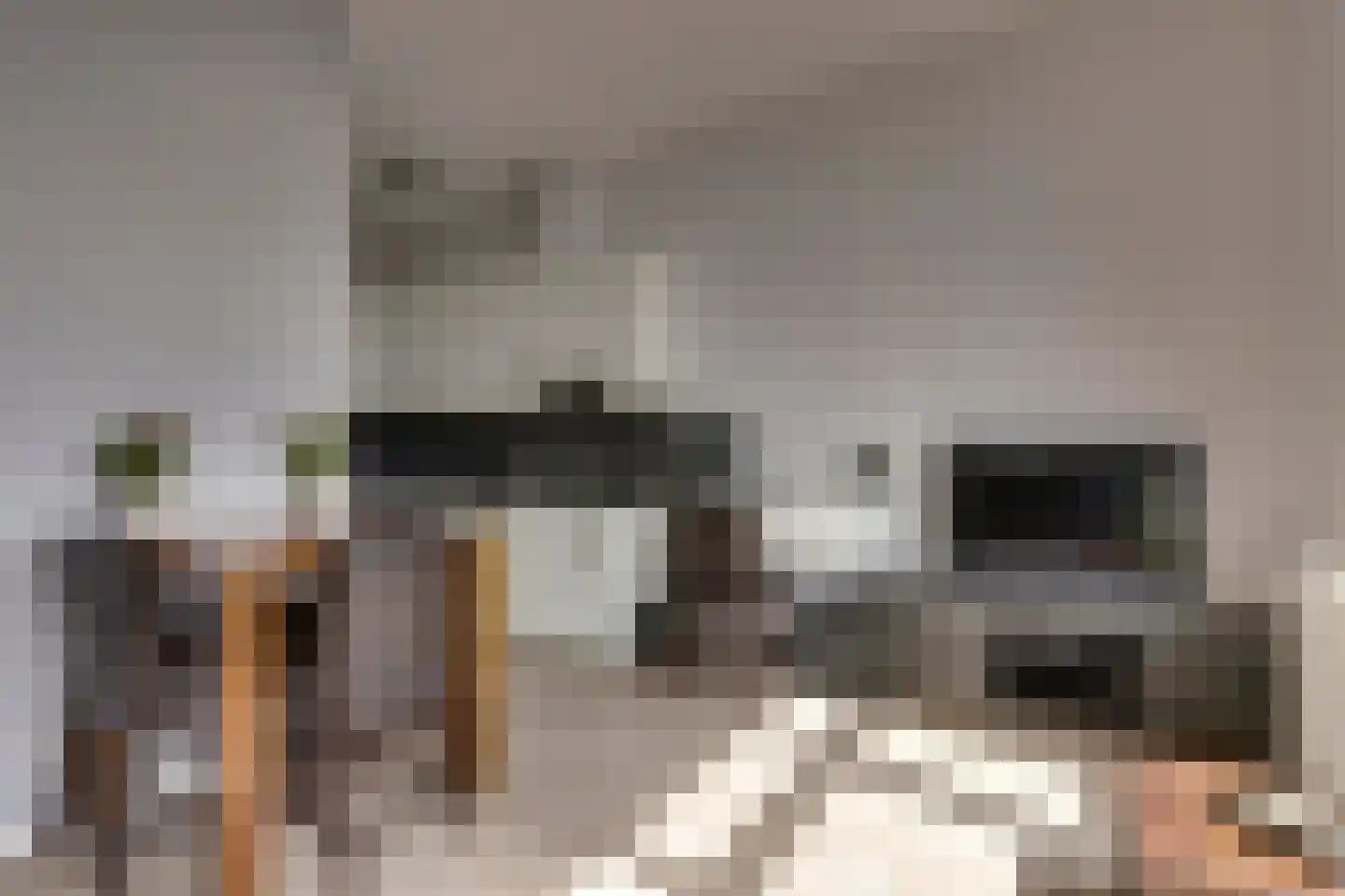 Eekhoorn 23 Veldhoven thumbnail 8