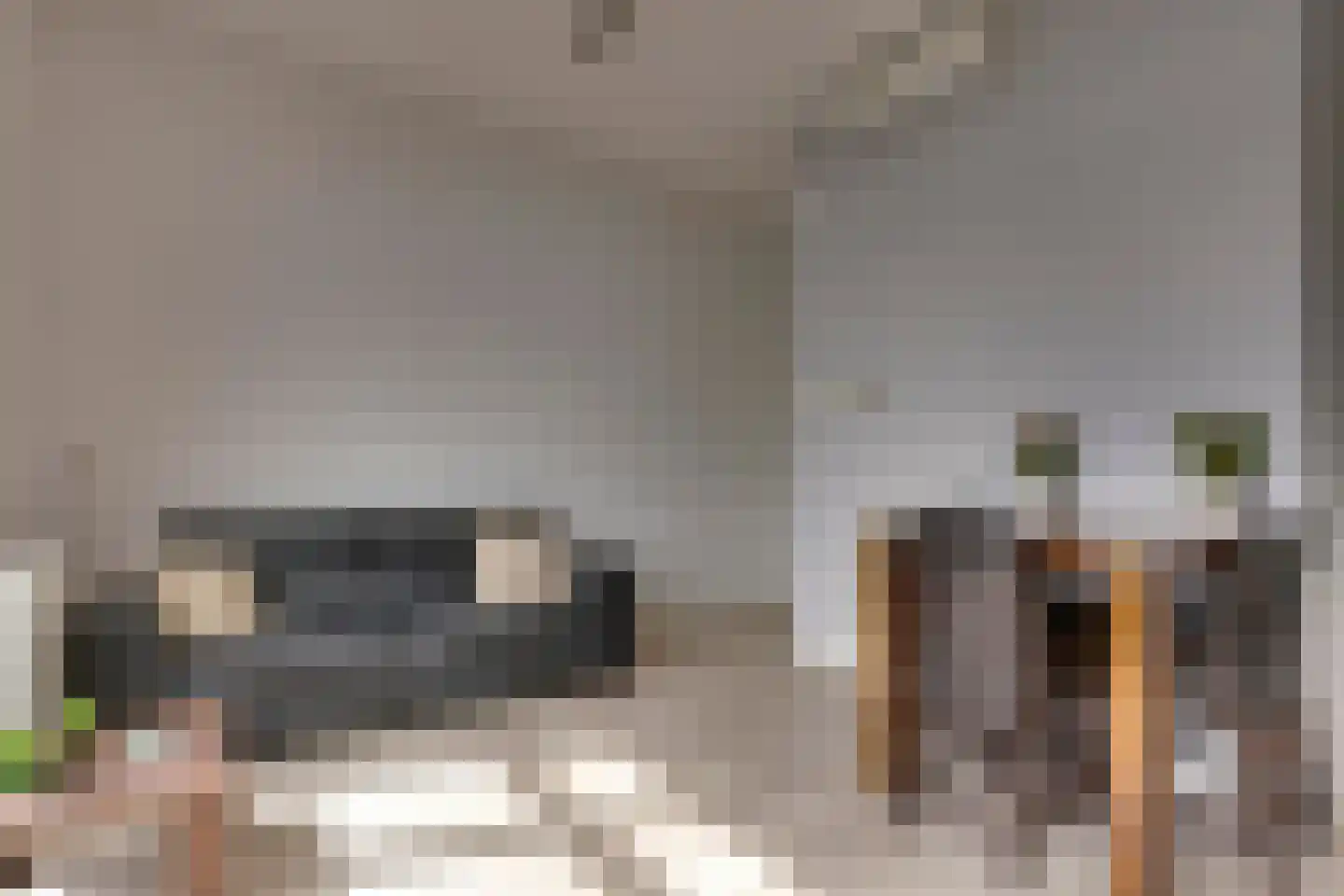 Eekhoorn 23 Veldhoven thumbnail 9