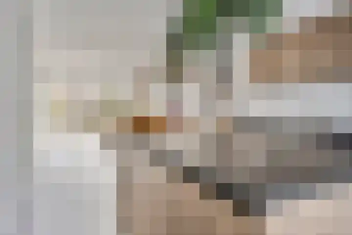 Eekhoorn 41 Veldhoven thumbnail 13