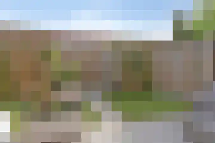 Eekhoorn 41 Veldhoven thumbnail 25