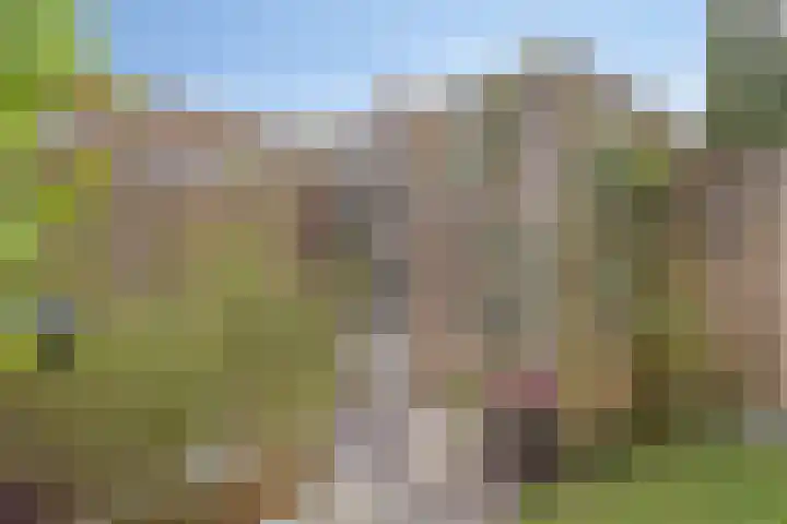 Eekhoorn 41 Veldhoven thumbnail 28
