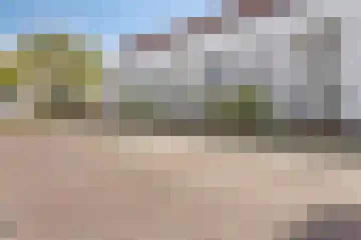 Eekhoorn 41 Veldhoven thumbnail 29