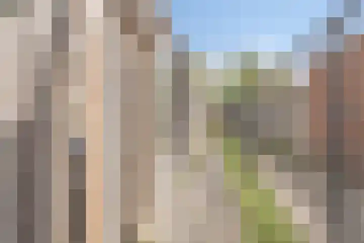 Eekhoorn 41 Veldhoven thumbnail 30