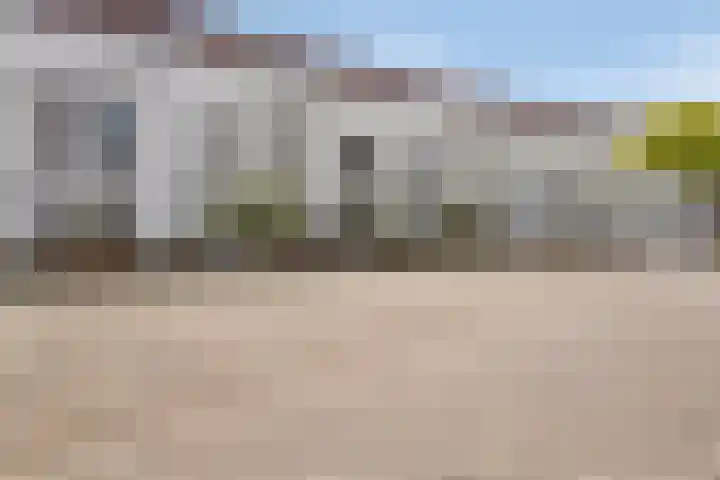 Eekhoorn 41 Veldhoven thumbnail 35