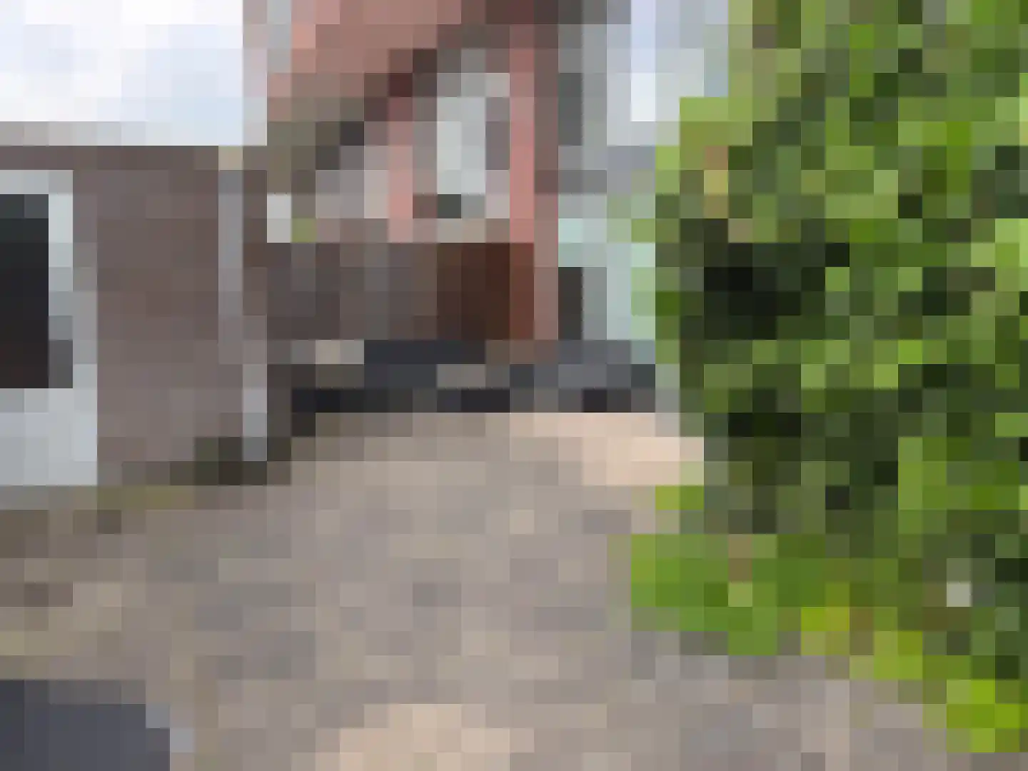 Eekhoorn 49 Veldhoven thumbnail 10