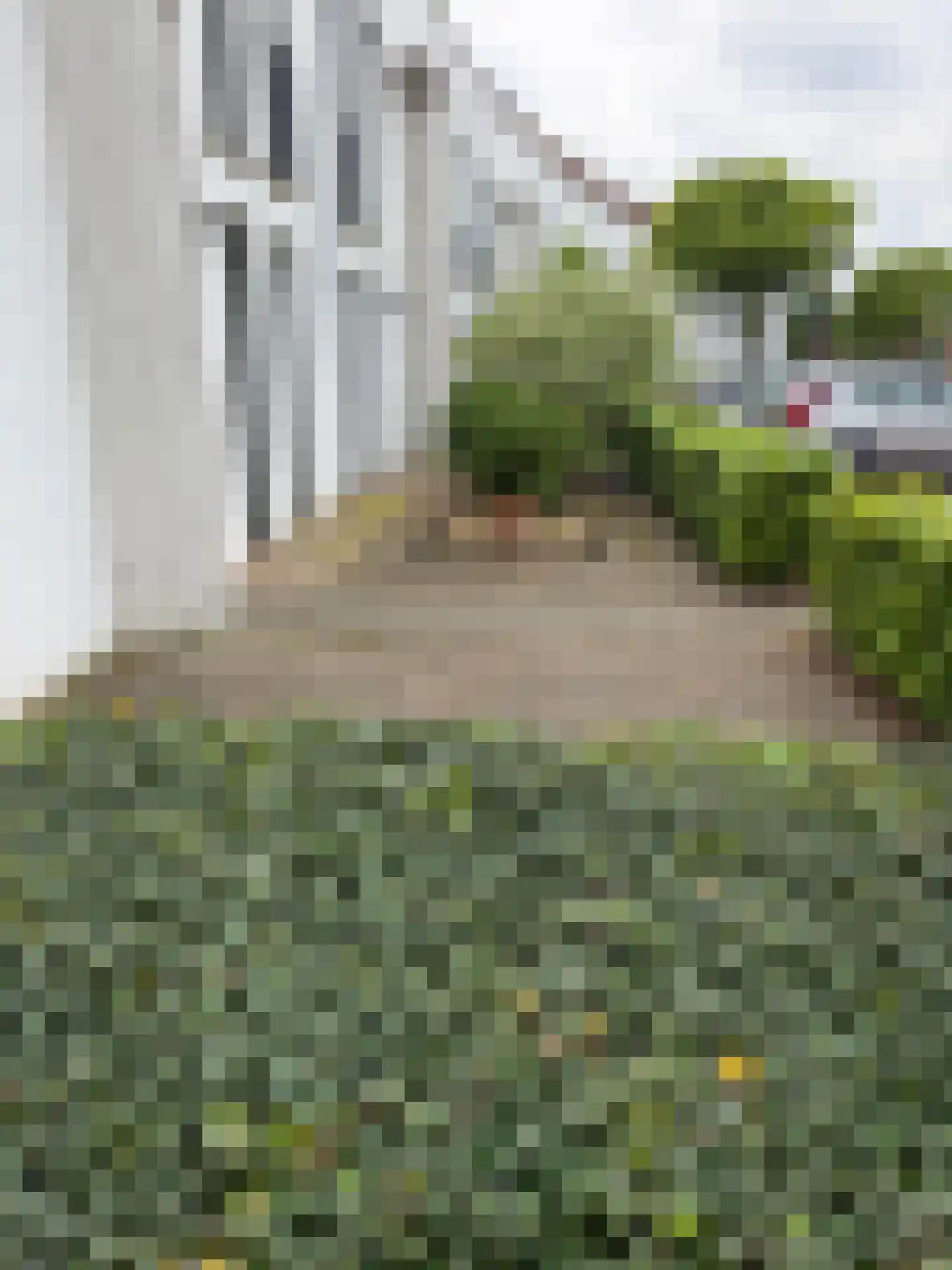 Eekhoorn 49 Veldhoven thumbnail 24