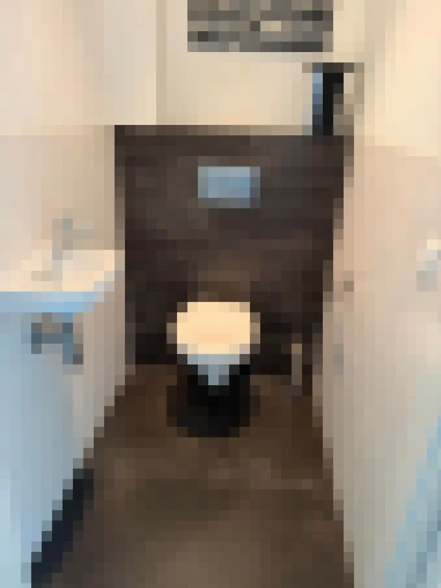 Eekhoorn 49 Veldhoven thumbnail 6
