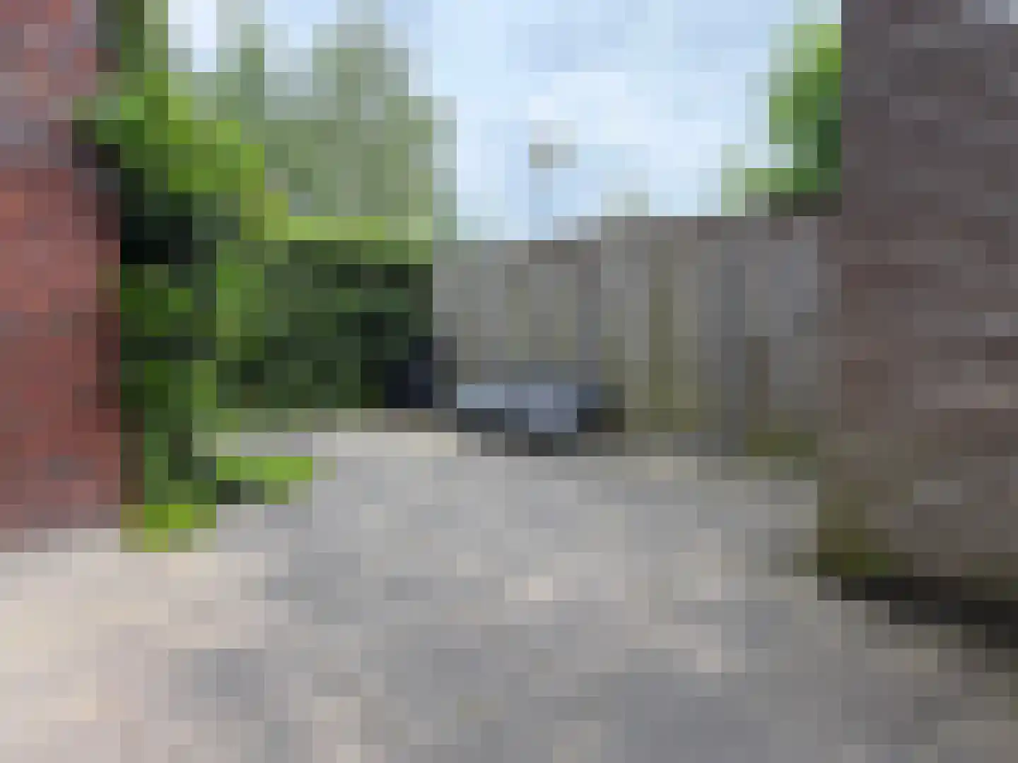 Eekhoorn 49 Veldhoven thumbnail 9
