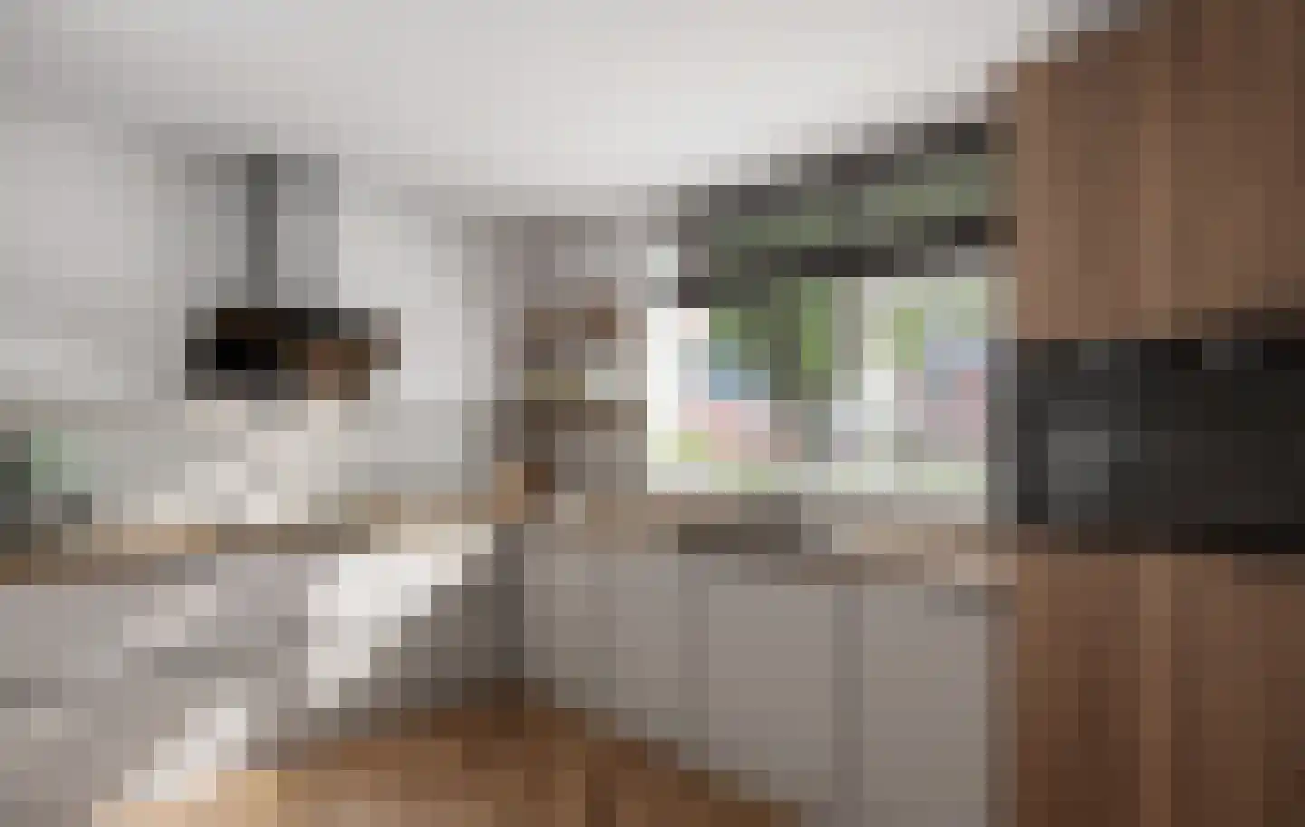 Eekhoornakker 51 Houten thumbnail 14