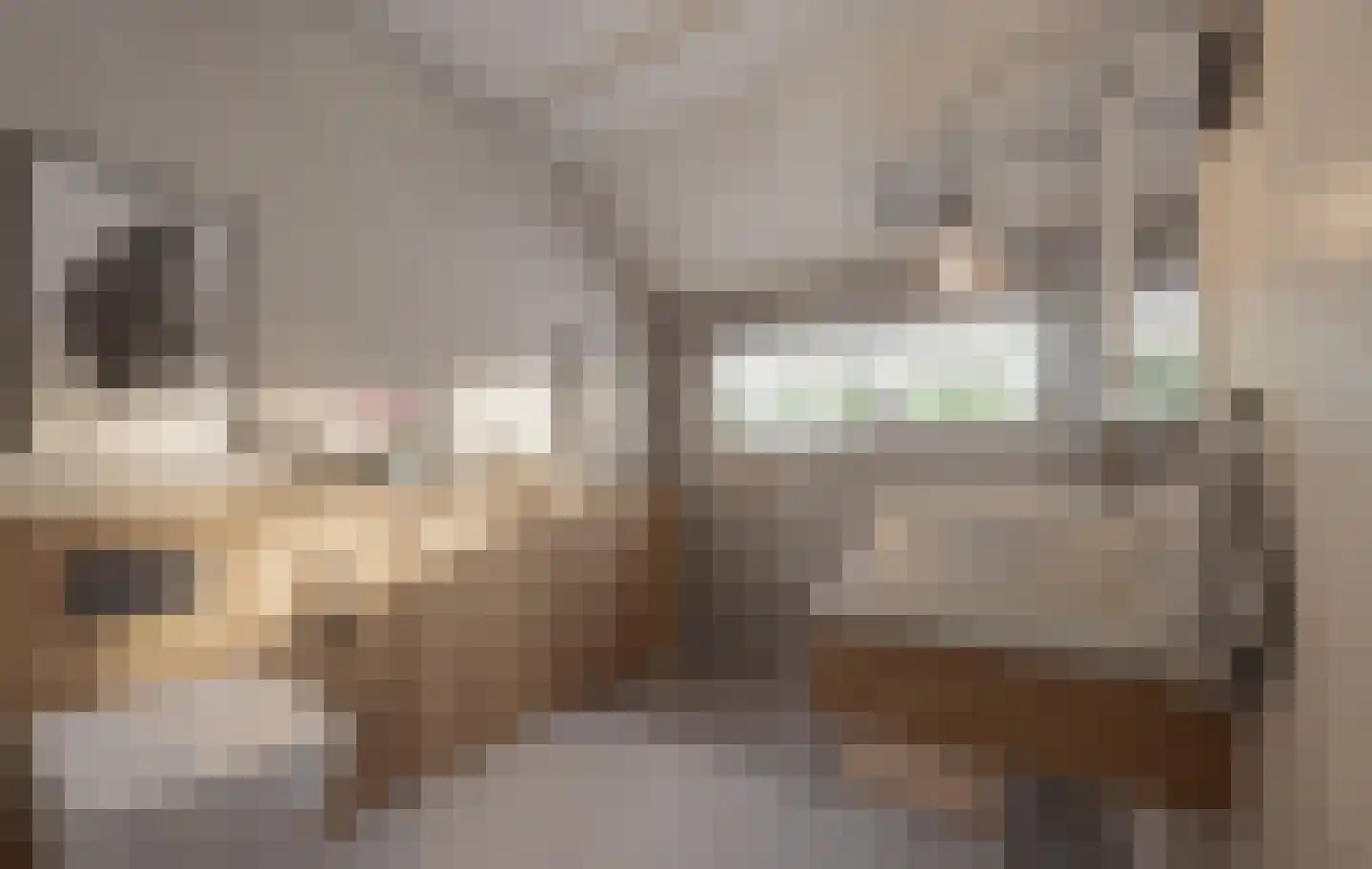 Eekhoornakker 51 Houten thumbnail 26