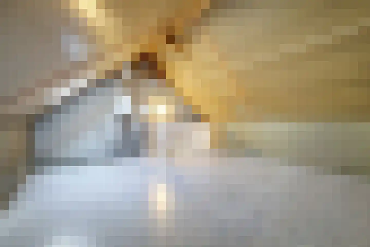 Eekhoornakker 51 Houten thumbnail 29