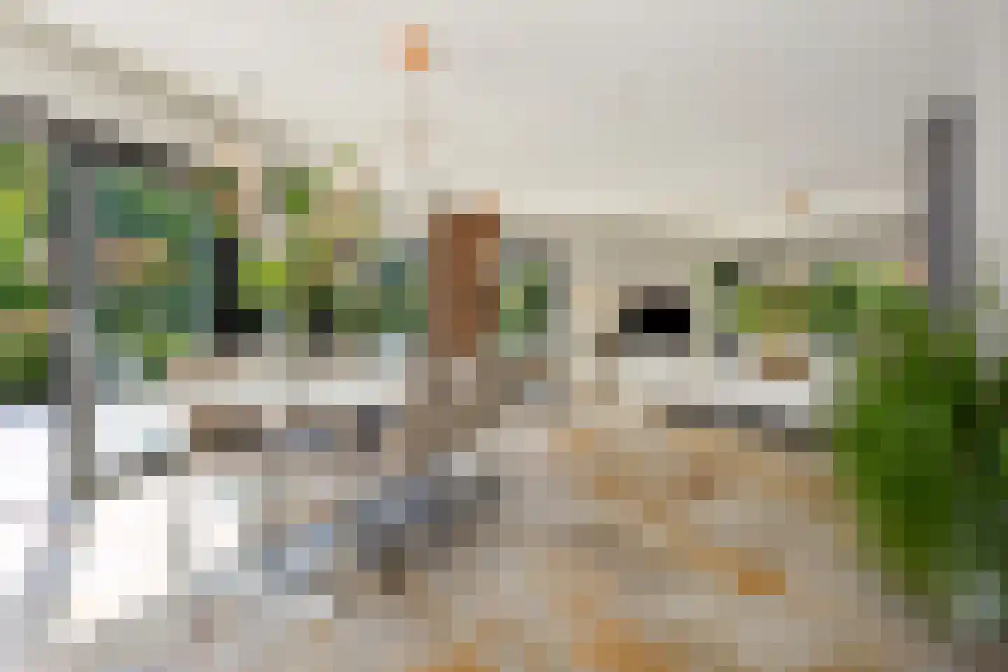 Eekhoornbos 49 Zeewolde thumbnail 15