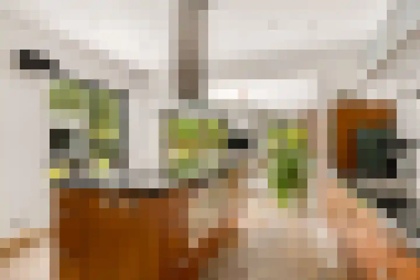 Eekhoornbos 49 Zeewolde thumbnail 33