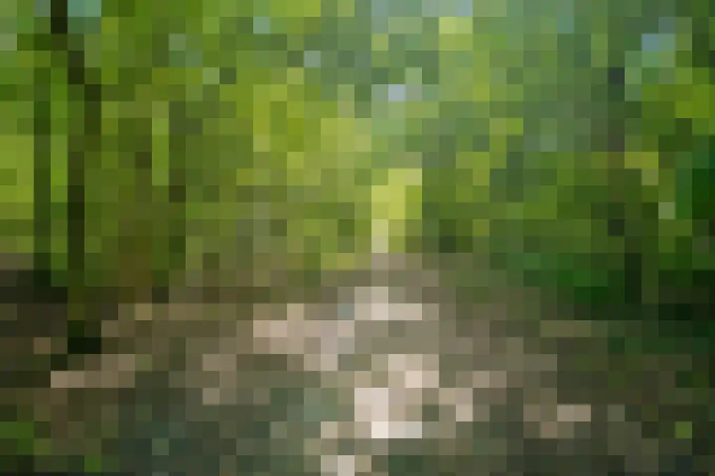 Eekhoornbos 49 Zeewolde thumbnail 84
