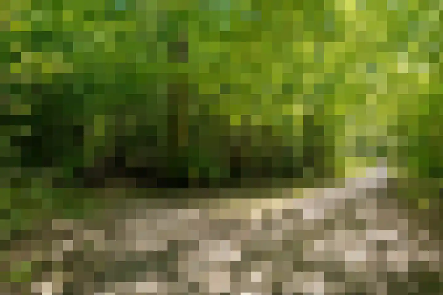 Eekhoornbos 49 Zeewolde thumbnail 85