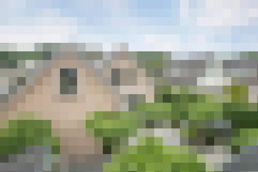 Eekhoornbos 9 Zeewolde thumbnail 27
